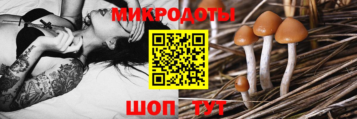 сколько стоит  Псилоцибиновые грибы мухоморы  Вход с VPN  Истра 